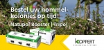 Koppert lanceert lespakket voor basisschool